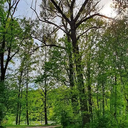 Camping Rekreacni Areal *