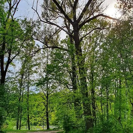 Campsite Rekreacni Areal *