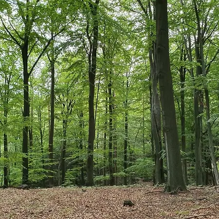 Campsite Rekreacni Areal Prihrazy